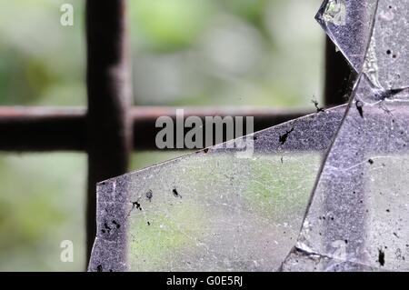 verlorene Jahre hinter Gittern Stockfoto