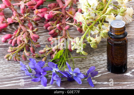 Bach Blüten rot und weiße Kastanie und violett Stockfoto