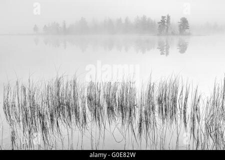 Morgennebel am See, Lappland, Schweden Stockfoto