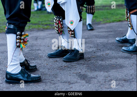 Watford, UK.  1. Mai 2016.  Die Woodside Morris Männer führen einen traditionellen Morris Tanz in Cassiobury Park, Watford im Nordwesten von London, bei Sonnenaufgang zu feiern Maifeiertag und das kommen des Sommers in Ritualen, die Hunderte von Jahren zurückreichen.  Tradition hat es, dass das Ritual des Tanzens zu diesem Zeitpunkt einen warmen und fruchtbaren Sommer bringt.  Mit Stöcken und Taschentücher, die Luft zu reinigen und zu wecken, die Erde, die Tänzer sind begleitet von Musikern, die traditionellen Instrumente spielen. Bildnachweis: Stephen Chung / Alamy Live News Stockfoto