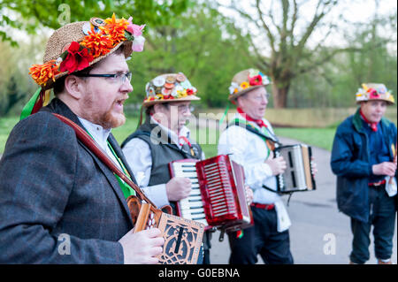 Watford, UK.  1. Mai 2016.  Die Woodside Morris Männer führen einen traditionellen Morris Tanz in Cassiobury Park, Watford im Nordwesten von London, bei Sonnenaufgang zu feiern Maifeiertag und das kommen des Sommers in Ritualen, die Hunderte von Jahren zurückreichen.  Tradition hat es, dass das Ritual des Tanzens zu diesem Zeitpunkt einen warmen und fruchtbaren Sommer bringt.  Mit Stöcken und Taschentücher, die Luft zu reinigen und zu wecken, die Erde, die Tänzer sind begleitet von Musikern, die traditionellen Instrumente spielen. Bildnachweis: Stephen Chung / Alamy Live News Stockfoto