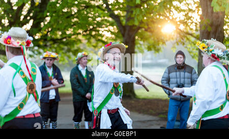 Watford, UK.  1. Mai 2016.  Die Woodside Morris Männer führen einen traditionellen Morris Tanz in Cassiobury Park, Watford im Nordwesten von London, bei Sonnenaufgang zu feiern Maifeiertag und das kommen des Sommers in Ritualen, die Hunderte von Jahren zurückreichen.  Tradition hat es, dass das Ritual des Tanzens zu diesem Zeitpunkt einen warmen und fruchtbaren Sommer bringt.  Mit Stöcken und Taschentücher, die Luft zu reinigen und zu wecken, die Erde, die Tänzer sind begleitet von Musikern, die traditionellen Instrumente spielen. Bildnachweis: Stephen Chung / Alamy Live News Stockfoto