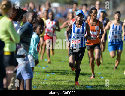 Cape Town, Südafrika. 30. April 2016. Athleten im Master Männer 8km in die Provinz Cross Country WHL bei Pollsmoor Correctional Facility am 30. April 2016 in Cape Town, Südafrika. Foto von Roger Sedres/Gallo Images/Alamy Live News Stockfoto