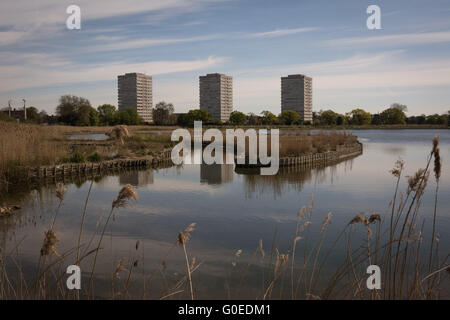 London UK 1. Mai 2016. Woodberry Feuchtgebiete Naturschutzgebiet für das Publikum geöffnet. Woodberry Feuchtgebiete ist offen für den uneingeschränkten Zugang zum ersten Mal in den zweihundert Jahren seines Bestehens eine große Tierwelt-Oase in der Nähe von Finsbury Park im Stadtteil Hackney. Erstreckt sich über 11 Hektar und dieses langfristige Projekt von Lebensraum Verbesserung und Wiederherstellung der Erbe befindet sich auf einer Strecke von der New River und Stoke Newington East Reservoir verschlingt. Bildnachweis: Patricia Phillips/Alamy Live-Nachrichten Stockfoto