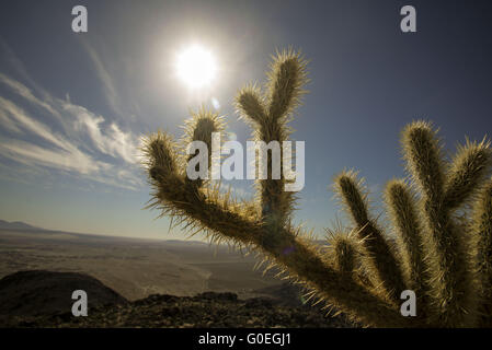 Los Angeles, Kalifornien, USA. 29. April 2016. Borrego Springs, Kalifornien im April 2016. Galleta Wiesen ist öffentlich zugänglich und umfasst mehr als 130 Skulpturen. © Ringo Chiu/ZUMA Draht/Alamy Live-Nachrichten Stockfoto