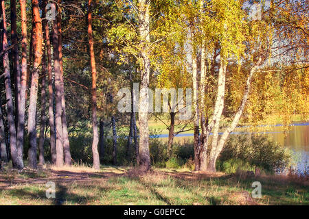Den Herbst Wald am Ufer des großen schönen l Stockfoto
