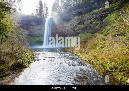 Süden fällt aus der South Loop Trail, Teil der Strecke zehn fällt bei Silver Falls State Park in Oregon. Stockfoto