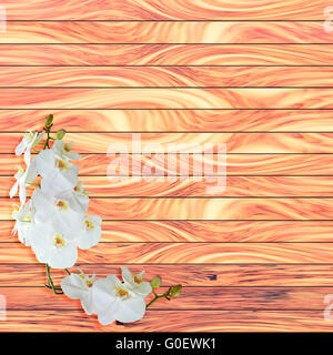 Weiße Orchidee auf Holzbrett Hintergrund Stockfoto