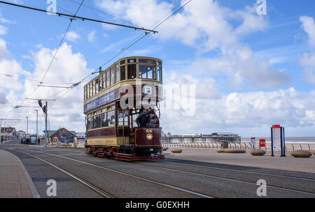 Die Schraubeder 66 Vintage Straßenbahn fährt entlang der Strandpromenade in Blackpool, Lancashire, UK als Teil eines Erbes Straßenbahn Wochenende Stockfoto