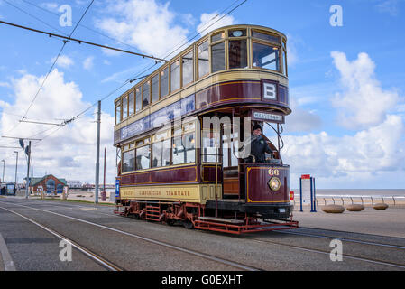 Die Schraubeder 66 Vintage Straßenbahn fährt entlang der Strandpromenade in Blackpool, Lancashire, UK als Teil eines Erbes Straßenbahn Wochenende Stockfoto