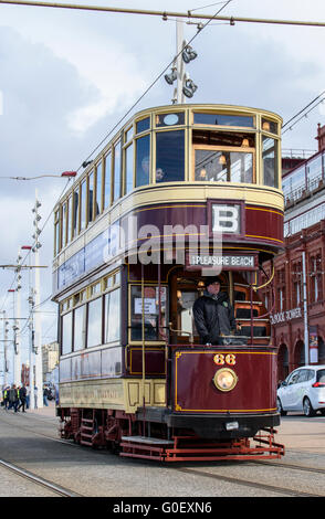 Die Schraubeder 66 Vintage Straßenbahn fährt entlang der Strandpromenade in Blackpool, Lancashire, UK als Teil eines Erbes Straßenbahn Wochenende Stockfoto