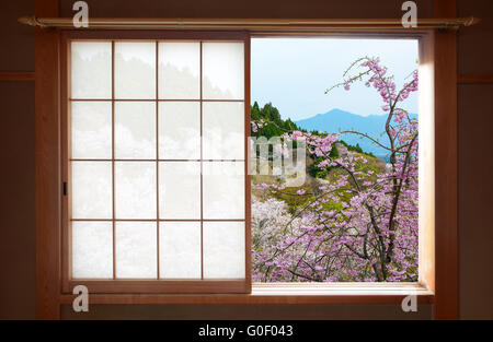 Hölzerne Japanisch Schiebe-Fenster und schönen weinende Kirschbaum außerhalb Stockfoto