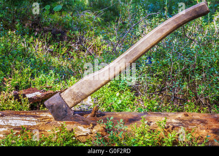 AX geschnitzt in alte Log im Wald Stockfoto