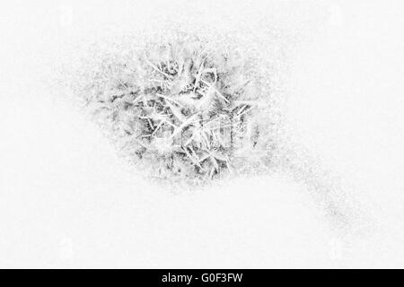 Eiskristalle im Schnee, Lappland, Schweden Stockfoto