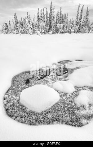 winterliche Sumpflandschaft, Lappland, Schweden Stockfoto