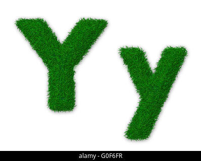 Abbildung von Kapital und Kleinbuchstabe Y gemacht Gras Stockfoto