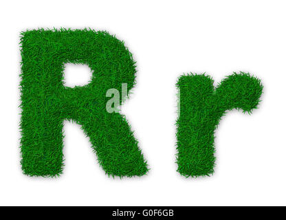 Abbildung von Kapital und Kleinbuchstabe R gemacht Gras Stockfoto