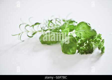 Kraut mit Rosmarin, Basilikum Petersilie auf dem weißen ba Stockfoto