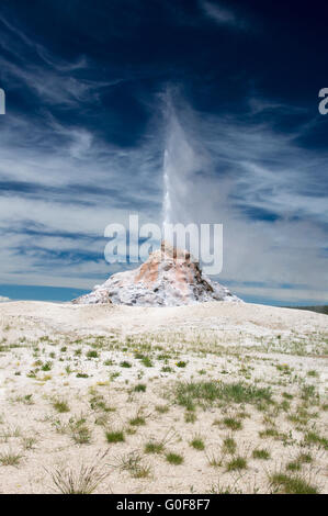 White Dome Geyser bricht an Sommertagen in Yellowst Stockfoto