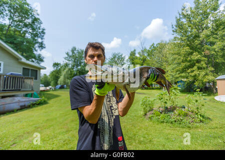 Fischer Holding Hecht Stockfoto