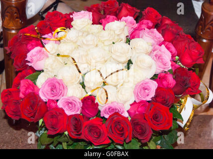 Blass rosa Rosen Stockfoto