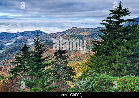 Herbstlaub auf Blue Ridge Parkway in der Nähe von Maggie Valley North carolina Stockfoto