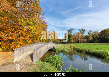 Herbstliche Waldlandschaft mit Holzbrücke über Wasser Stockfoto