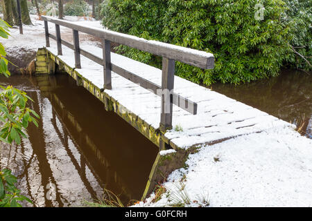 Holzbrücke im Winter mit Schnee bedeckt. Stockfoto