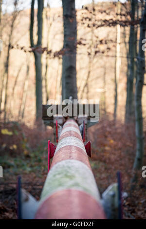 verschlossenen Schranken im Wald Stockfoto