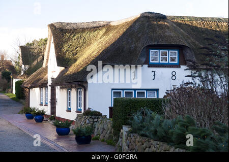 Strohdach Haus auf Amrum in Deutschland Stockfoto