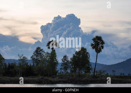 Palmen am Ufer in der Nähe von Kampot, Kambodscha Stockfoto