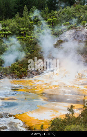 Orakei Korako geothermische Park, Neuseeland Stockfoto