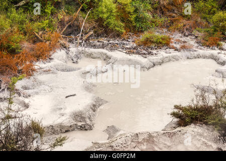 Orakei Korako geothermische Park, Neuseeland Stockfoto