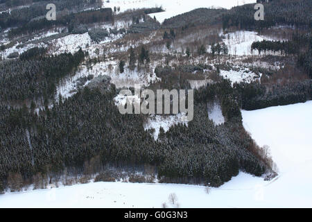 Luftaufnahme von Bergfinken Winterquartal in Hasel Stockfoto