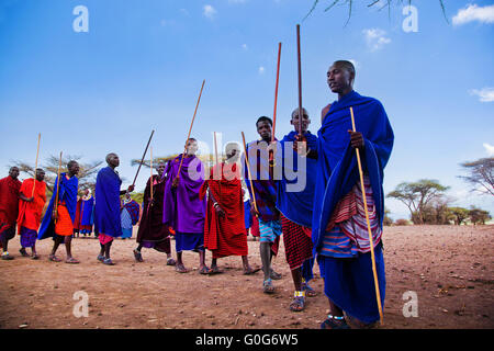 Maasai-Männer in ihren rituellen Tanz in ihrem Dorf in Tansania, Afrika Stockfoto