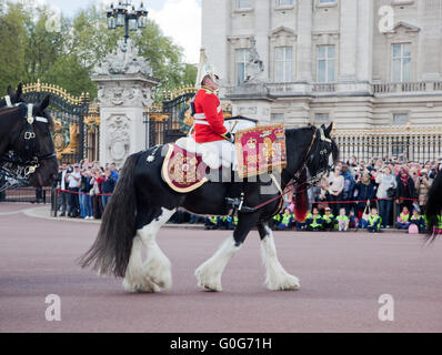 LONDON - 17 Mai: Britische königliche Garde auf Pferd Reiten und führen Sie die Wachablösung im Buckingham Palace Stockfoto