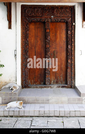 Zwei Katzen auf der Straße Stone Town Stockfoto