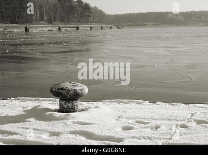 Poller von der Elbe im winter Stockfoto