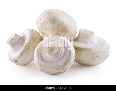 Handvoll champignons Stockfoto