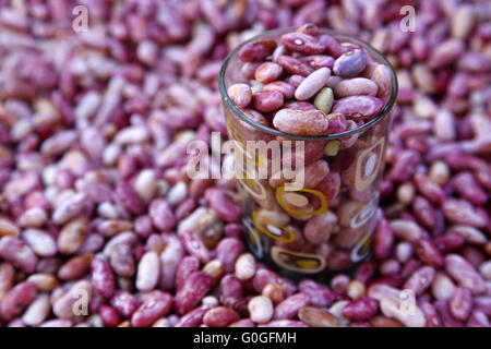 Stangenbohnen (Phaseolus Coccineus) Stockfoto