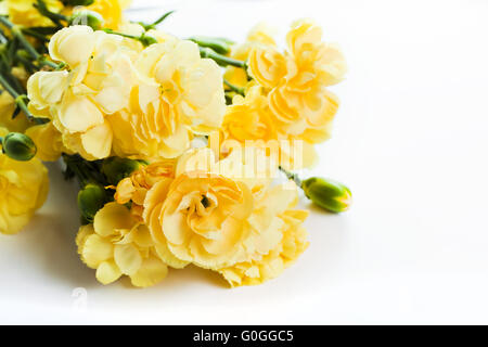 Gelbe weiche Feder Blumenstrauß auf weißem Hintergrund Stockfoto