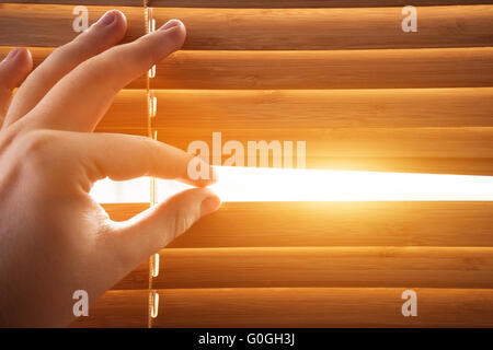 Blick durch Fenster Jalousien, Sonnenlicht im Inneren. Stockfoto