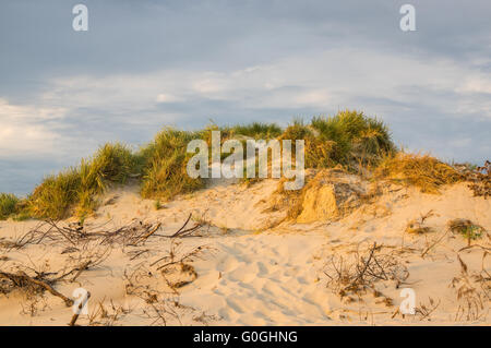 Summerbeach am Abend Stockfoto