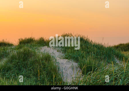 Summerbeach am Abend Stockfoto