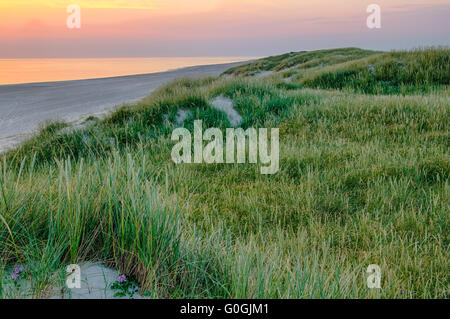 Summerbeach am Abend Stockfoto