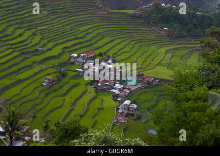 Alten Reis Terrassen von Batad liegt in der Region von Banaue, Cordilleras, nördlichen Philippinen Stockfoto