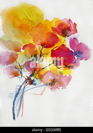 Aquarell Mohnblumen auf Papier Stockfoto