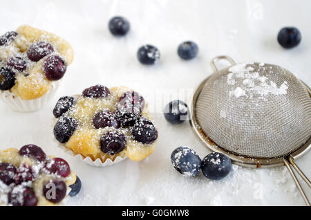 Heidelbeerkuchen Stockfoto