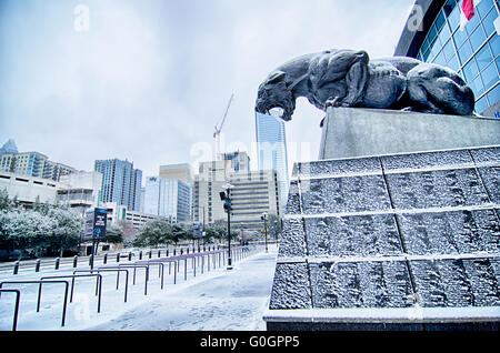 Carolina Panthers Statue mit Schnee bedeckt Stockfoto