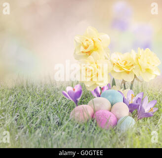 Ostereier auf Wiese mit Narzisse Blume Stockfoto